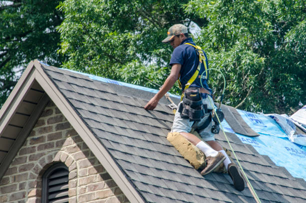 Best Gutter Installation and Roofing  in Rosedale, MD